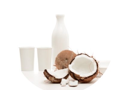 ingred coco_1 ingred coco_1