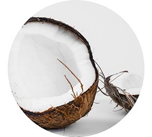banners-ecommerce banners-ecommerce